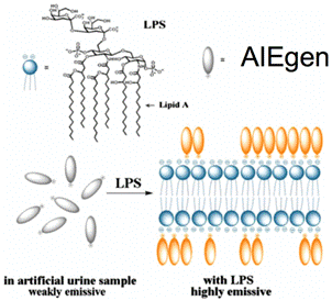 AIE技术检测细菌内毒素的机制
